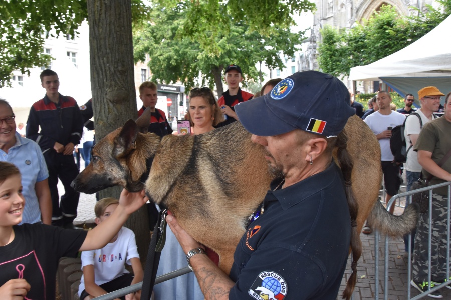 Demonstratie Rescue Dogs