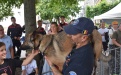 Demonstratie Rescue Dogs